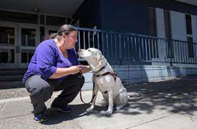 Lucy Greco with her guide dog