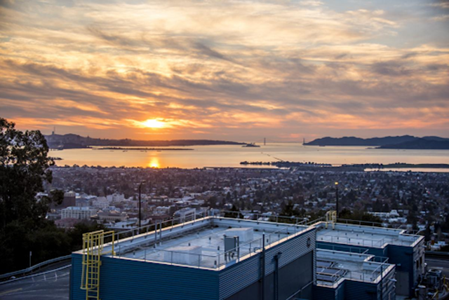 San Francisco Bay skyline at sunset with Lab in the foreground