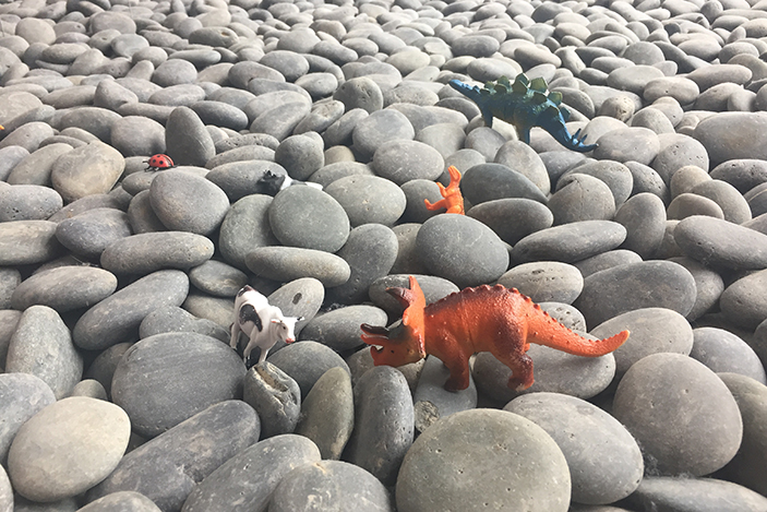 small rocks with plastic dinosaur on top