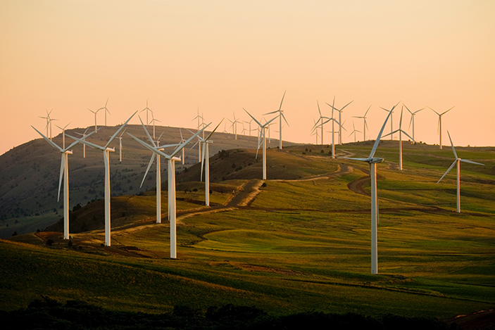 photo of a wind farm