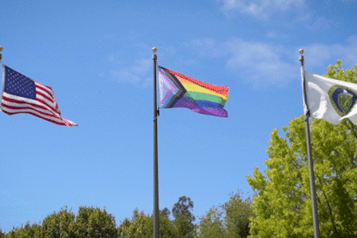animated gif of pride flag flying