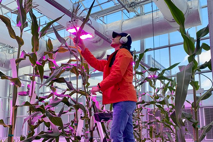JGI scientist working on mutant corn