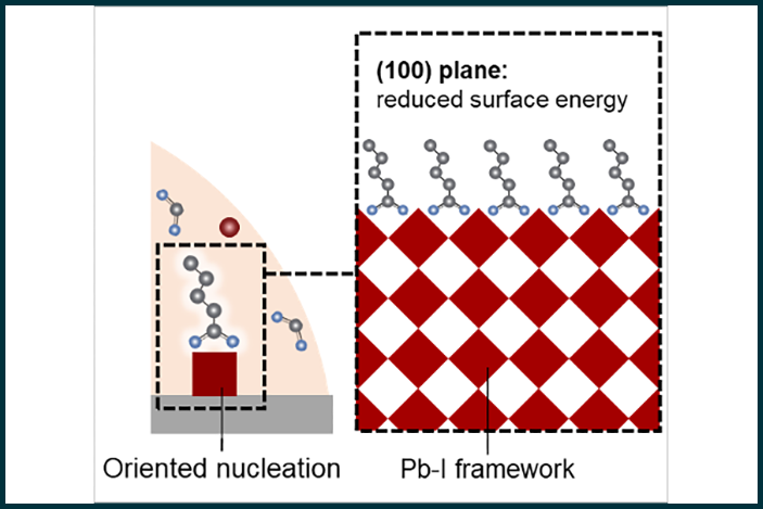 oriented nucleation illustration