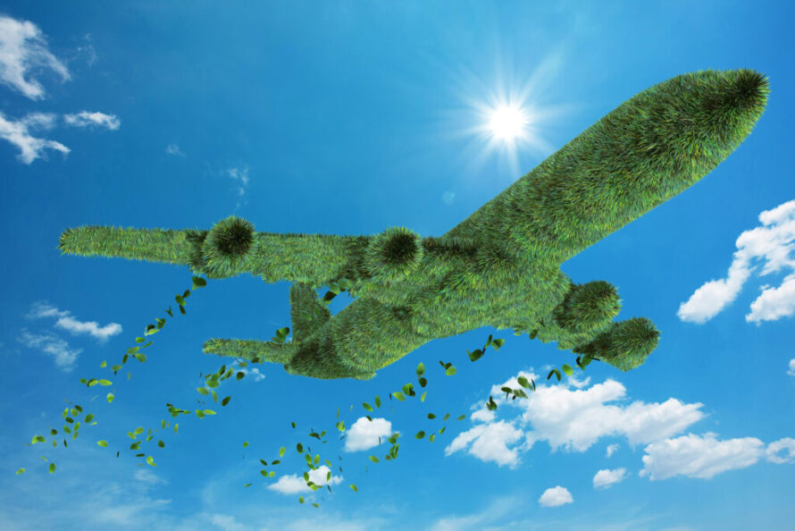 an airplane made of foliage flies against a blue sky with fluffy white clouds and a bright sun