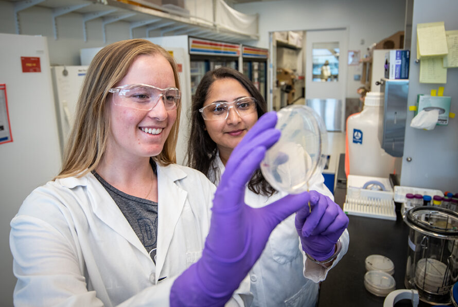 Two persons in white lab coats and wearing safety glasses observing contents of a test container