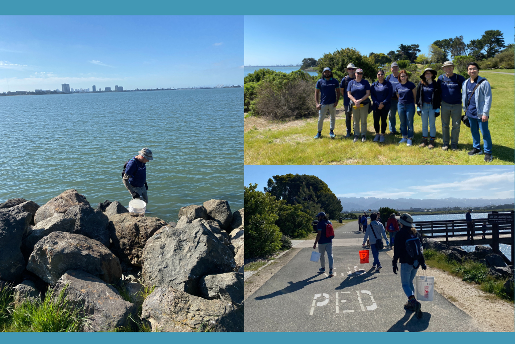 Collage of photos with person holding bucket at waterfront, group of persons standing in a row, and group of persons holding buckets walking down road.