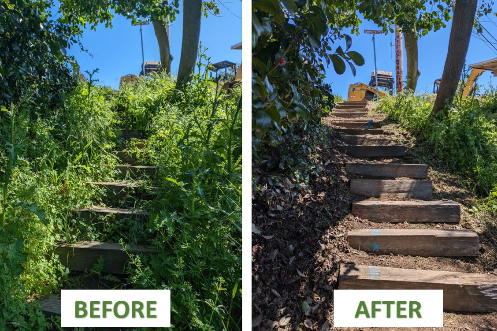Before and after picture of outdoor steps cleared of vegetation
