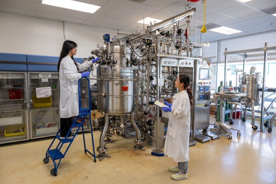 One person in lab coat standing atop step ladder adjusting device while other person looks on.