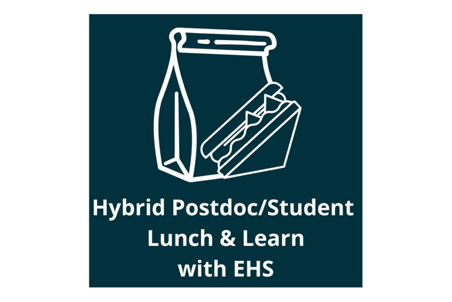 Graphic logo of lunch bag and sandwich with words Hybrid Postdoc/Student Lunch & Learn with EHS on black background.