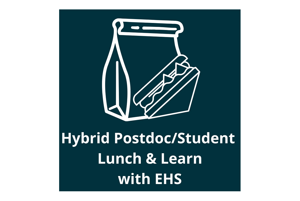 Graphic logo of lunch bag and sandwich with words Hybrid Postdoc/Student Lunch & Learn with EHS on black background.