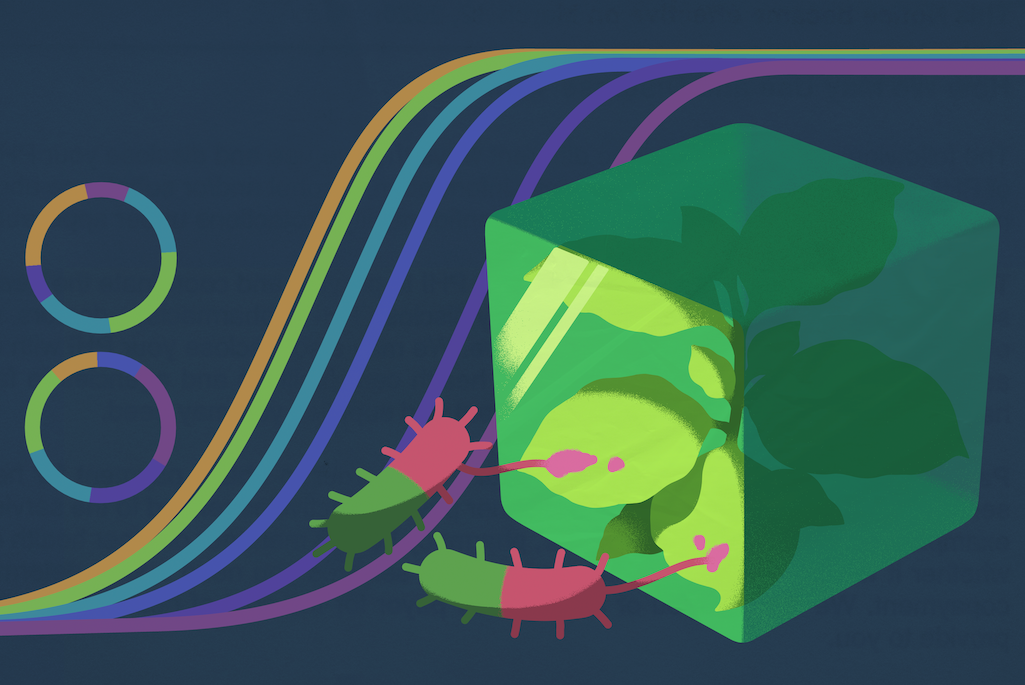 Green three-dimensional cube overlaid on black background with multi-colored curved lines.