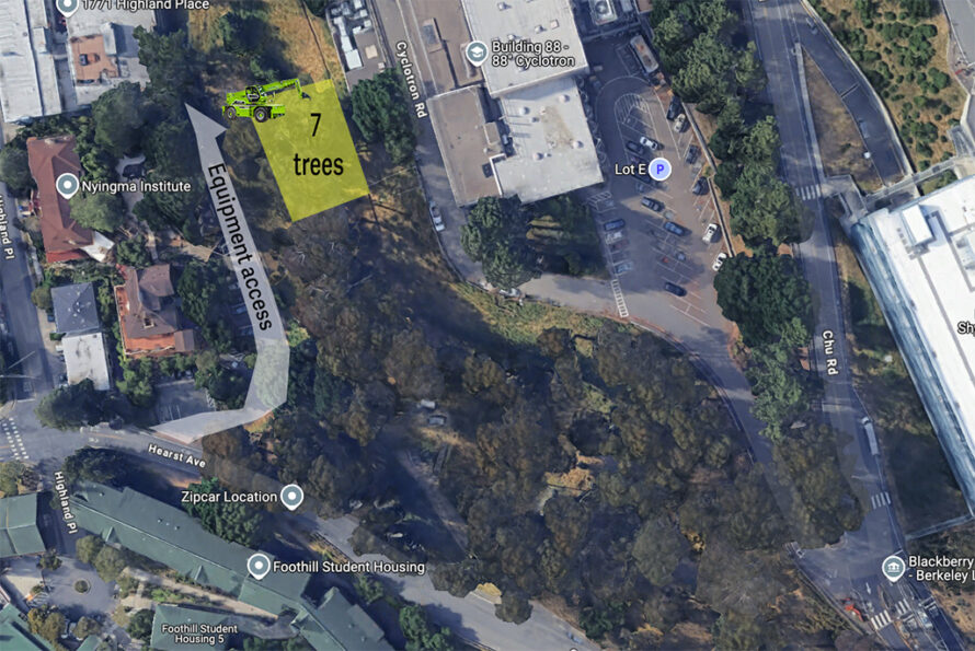 Map of Berkeley streets showing tree removal activity.