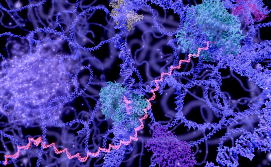Purple, blue. and pink DNA strands overlaid on black background.