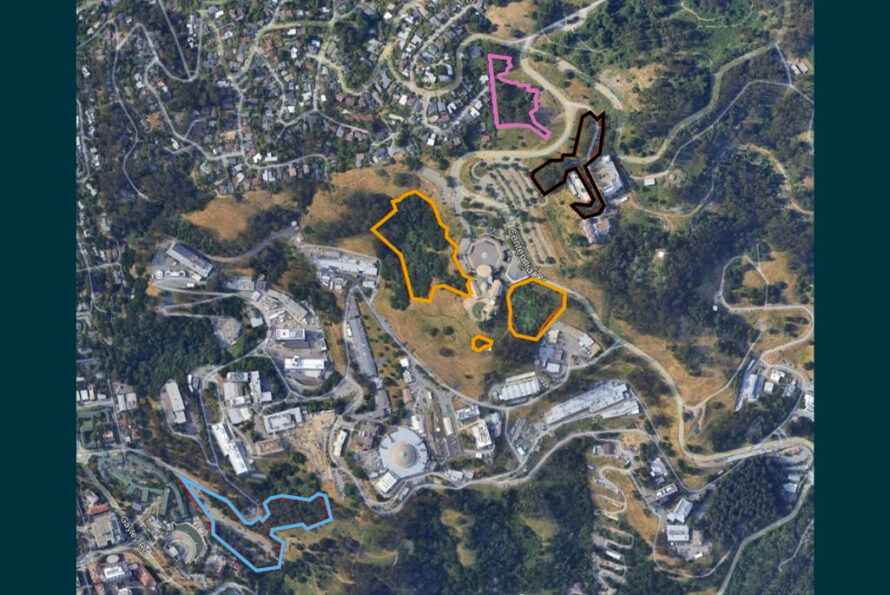 An aerial view of UC Berkeley’s hill campus shows four areas highlighted in pink, orange, and red, indicating locations for tree removal as part of their UC Berkeley Wildland Fuel Reduction Project.