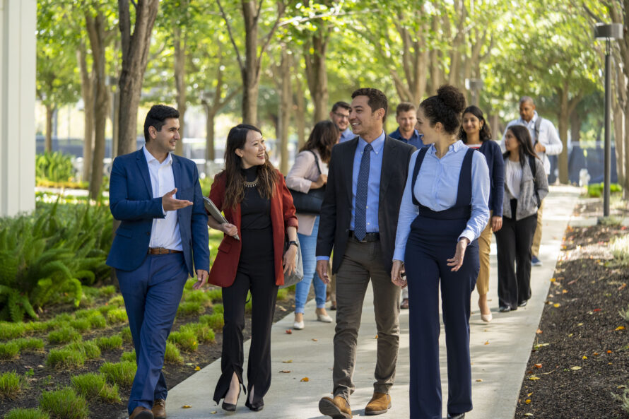 A group of persons wearing business attire walking down tree-lined path on university grounds.
