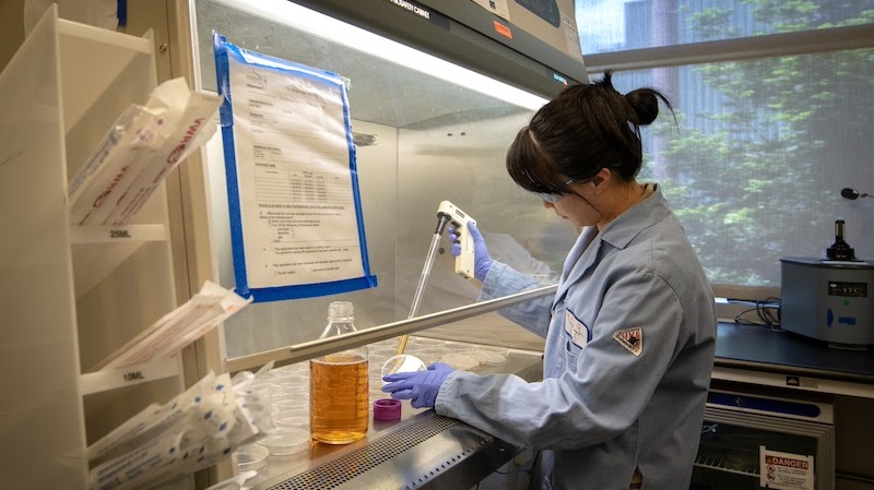 A person in a science lab wearing safety equipment and working on experiment from behind glass partition.