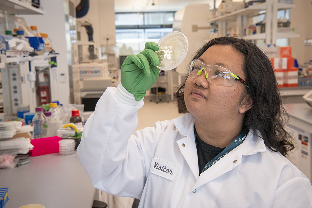 Person in Lab coat and safety glasses looking at biological sample
