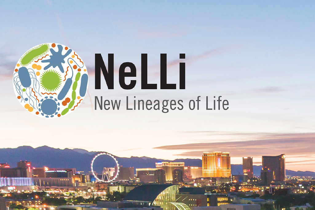Composite illustration of circular logo with words "NeLLi New Lineages of Life" at the right overlaid on photo cityscape of Las Vegas, NV.
