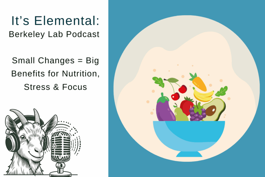 Composite illustration of Elements newsletter podcast logo titled "Small Changes = Big Benefits for Nutrition, Stress & Focus" next to image of bowl with fruits and vegetables.