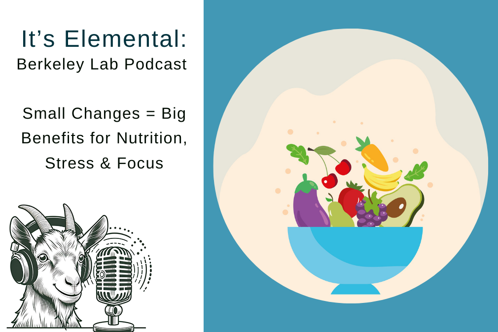 Composite illustration of Elements newsletter podcast logo titled "Small Changes = Big Benefits for Nutrition, Stress & Focus" next to image of bowl with fruits and vegetables.