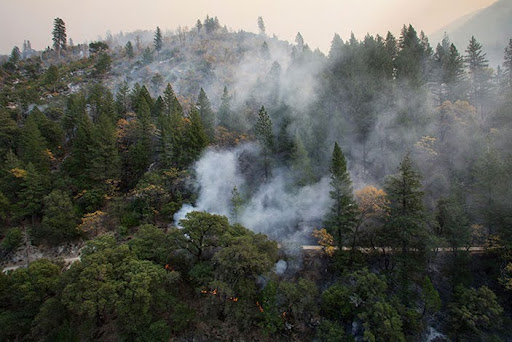 Tree-lined hills with white smoke billowing out.