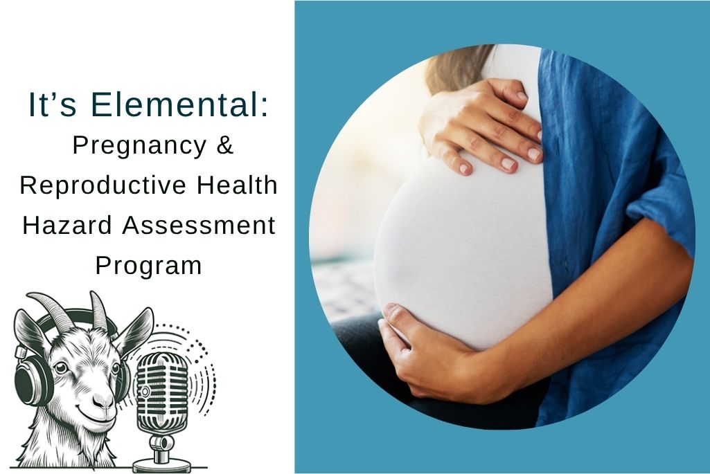 Composite illustration of Elements newsletter podcast logo titled "Pregnancy & Reproductive Health Hazard Assessment Program" next to an image of a pregnant person holding their belly.