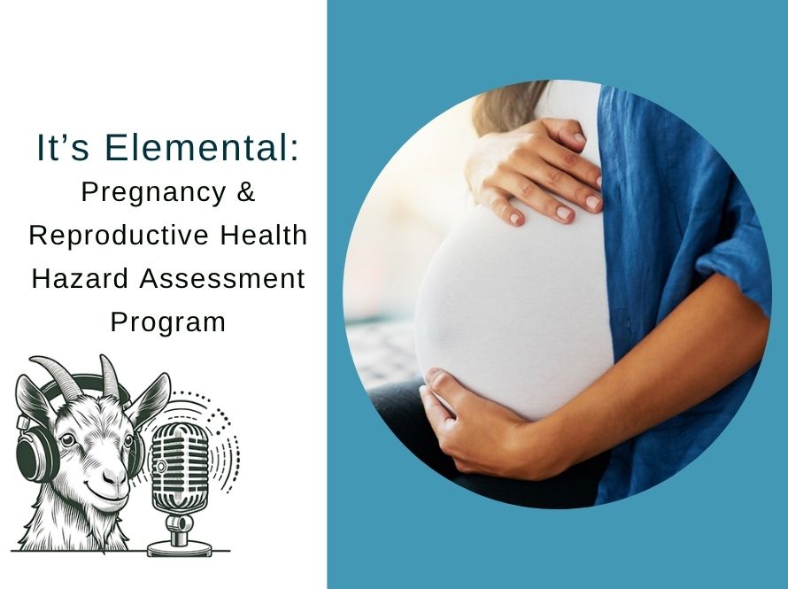 Composite illustration of Elements newsletter podcast logo titled "Pregnancy & Reproductive Health Hazard Assessment Program" next to an image of a pregnant person holding their belly.