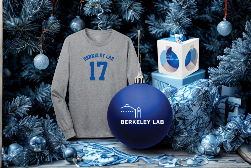 Composite image: gray long-sleeve tee with blue words "Berkeley Lab 17"; large blue ball holiday ornament with white Berkeley Lab logo; white box with blue ornament inside - all in front of holiday tree.