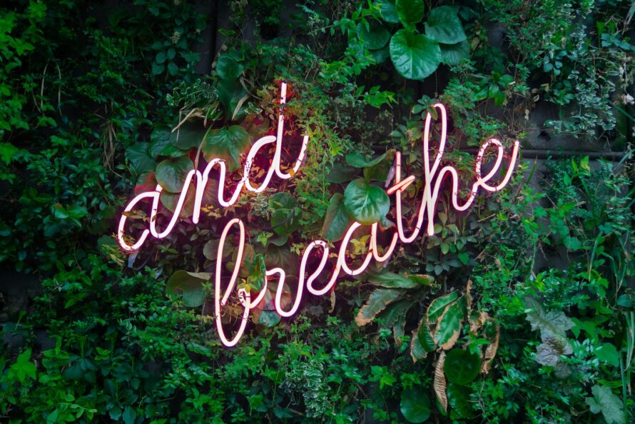Closeup of green foliage with pink, cursive, neon-style words "And breathe" centered over it.
