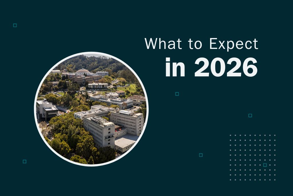 Graphic with text What to Expect in 2026