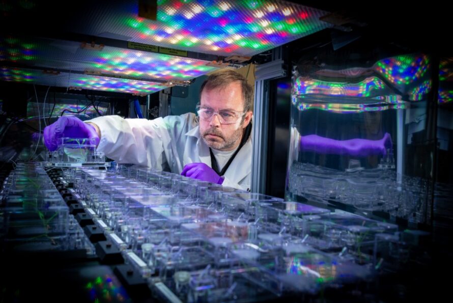 Scientist holds a sample in a lab.