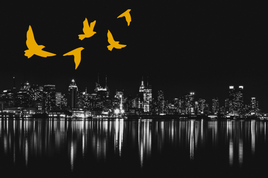 Cityscape at night with lights reflecting off water and profiles of golden birds flying above