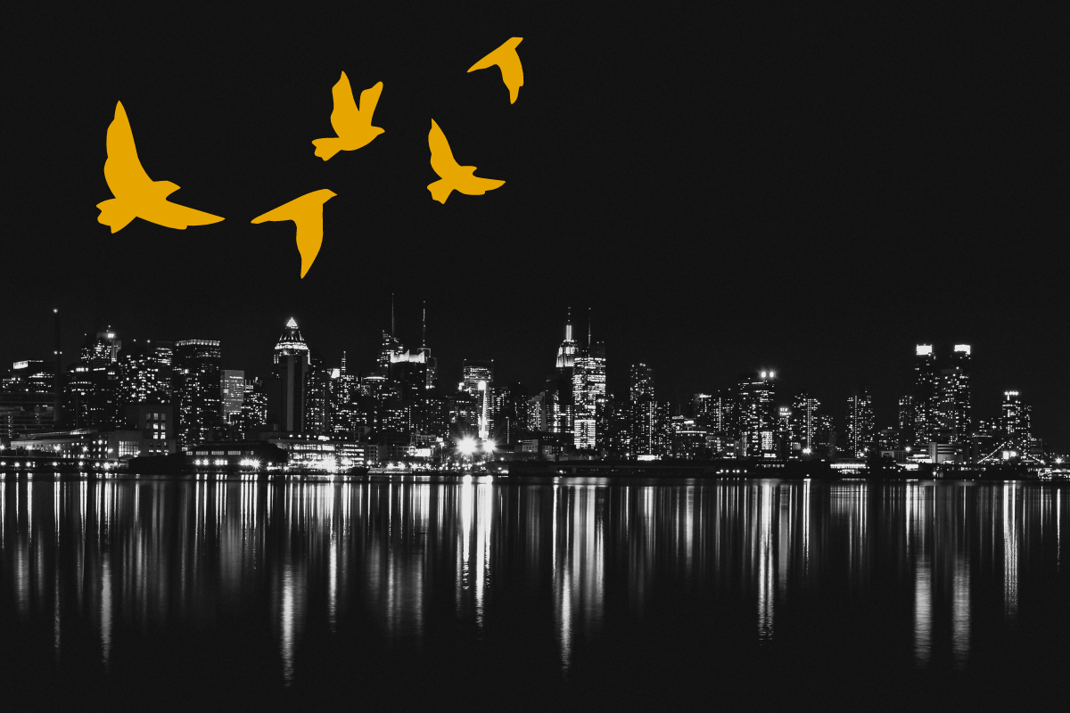 Cityscape at night with lights reflecting off water and profiles of golden birds flying above