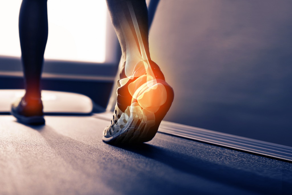 Rear view shot of the highlighted joints in a runner's foot.