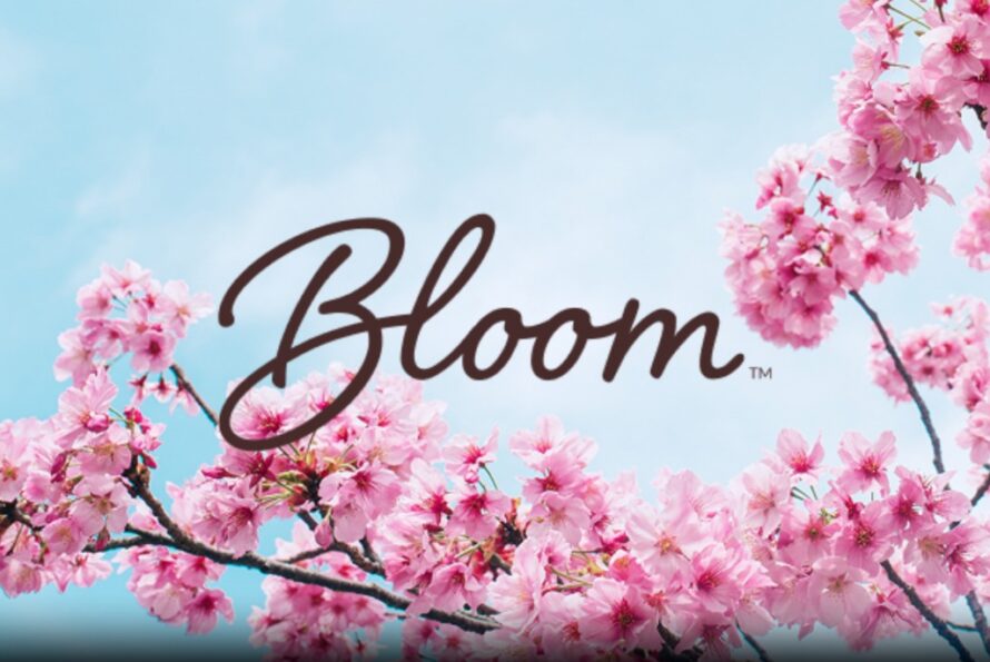 Cherry blossoms against a blue sky with text in the foreground reading, “Bloom.”
