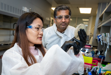 One person with long brown hair in a white lab coat wearing protective eyewear holding a petri dish in gloved hands while another person with short black hair looks on