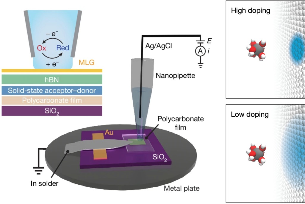 Schematic illustrations of electrochemical measurement at monolayer graphene surfaces using scanning electrochemical cell microscopy