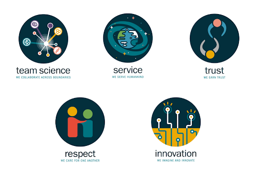 Five icons arranged on white background.