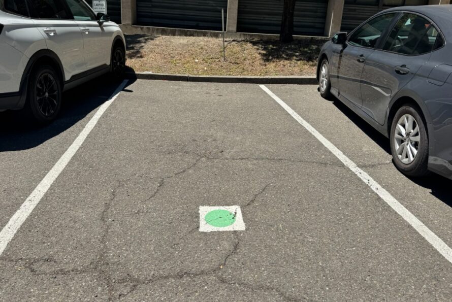 An empty outdoor parking spot with a green circle marking on it, and cars parked on each side.