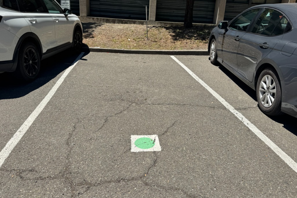 An empty outdoor parking spot with a green circle marking on it, and cars parked on each side.