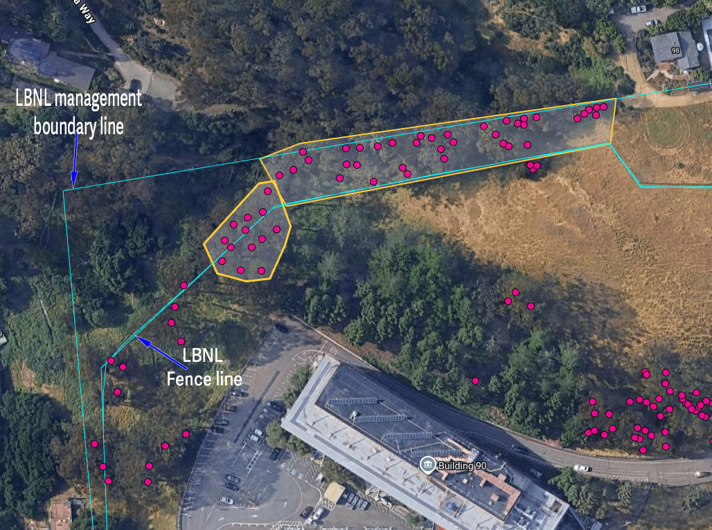 Aerial view of Lot C at Berkeley Lab with markings indicating hazardous tree removal work.