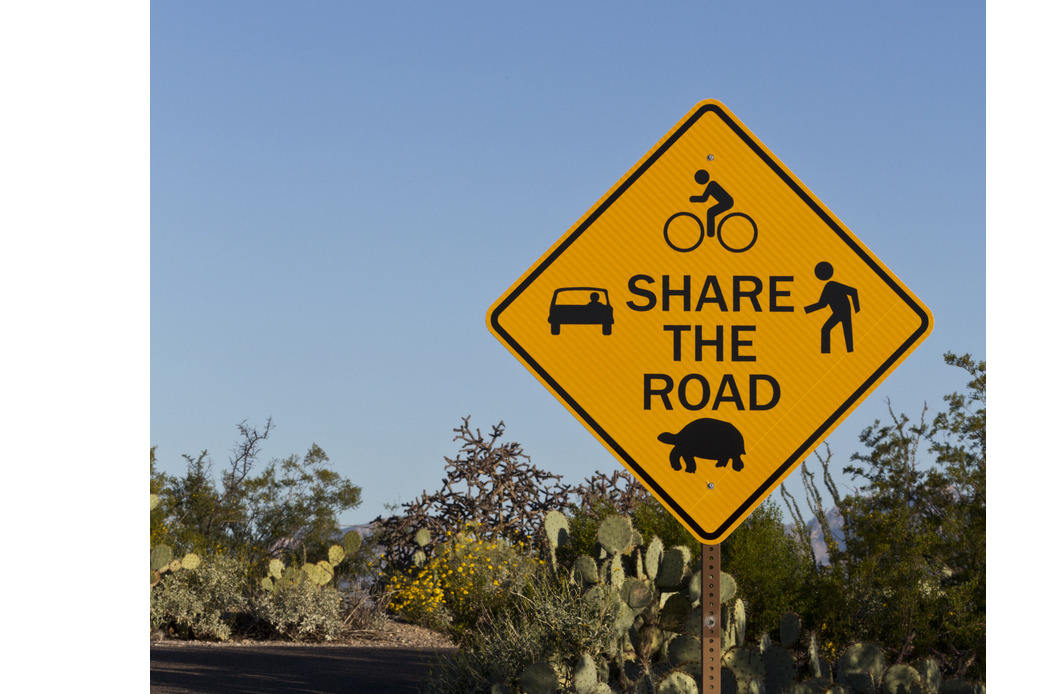 Yellow yield sign with icons for pedestrian, animal, car, bike