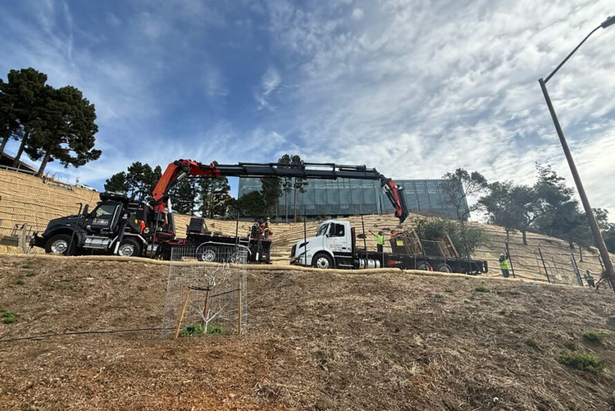 trucks on a hillside